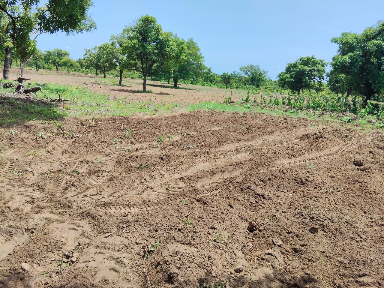 WhatsApp Image 2025-08-15 at 22.30.43_717da593