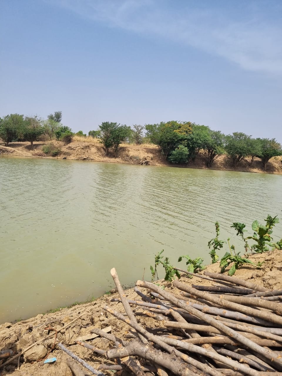 WhatsApp Image 2025-08-15 at 22.30.46_4db04764