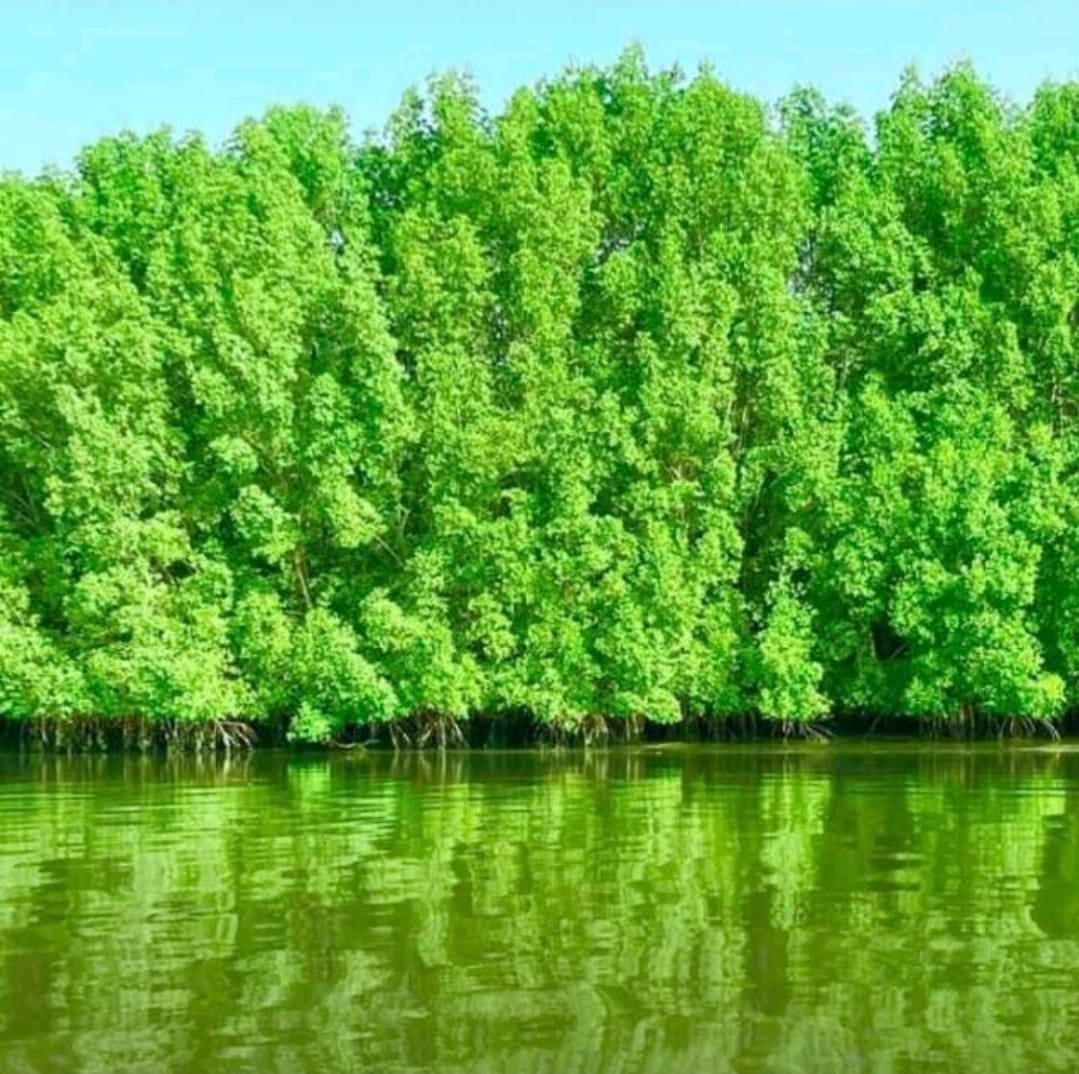 WhatsApp Image 2025-08-15 at 22.30.47_6aa3ab30