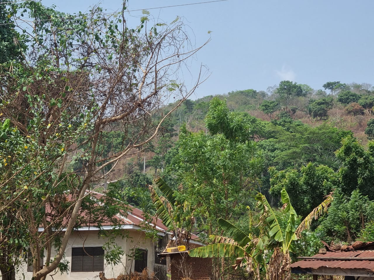 WhatsApp Image 2025-08-15 at 22.30.51_5ff19953