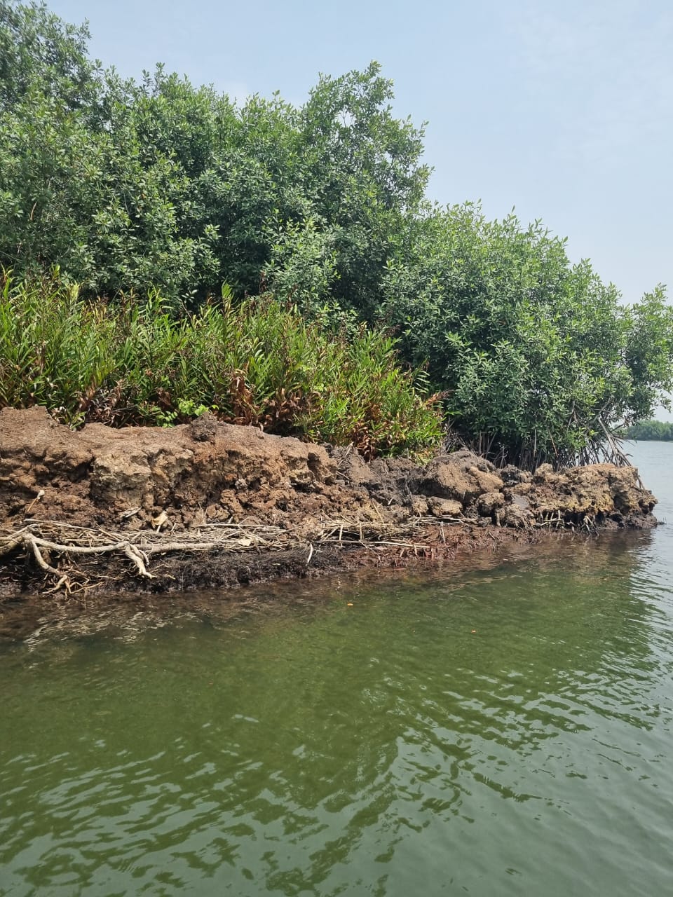 WhatsApp Image 2025-08-15 at 22.30.55_7c9f9970